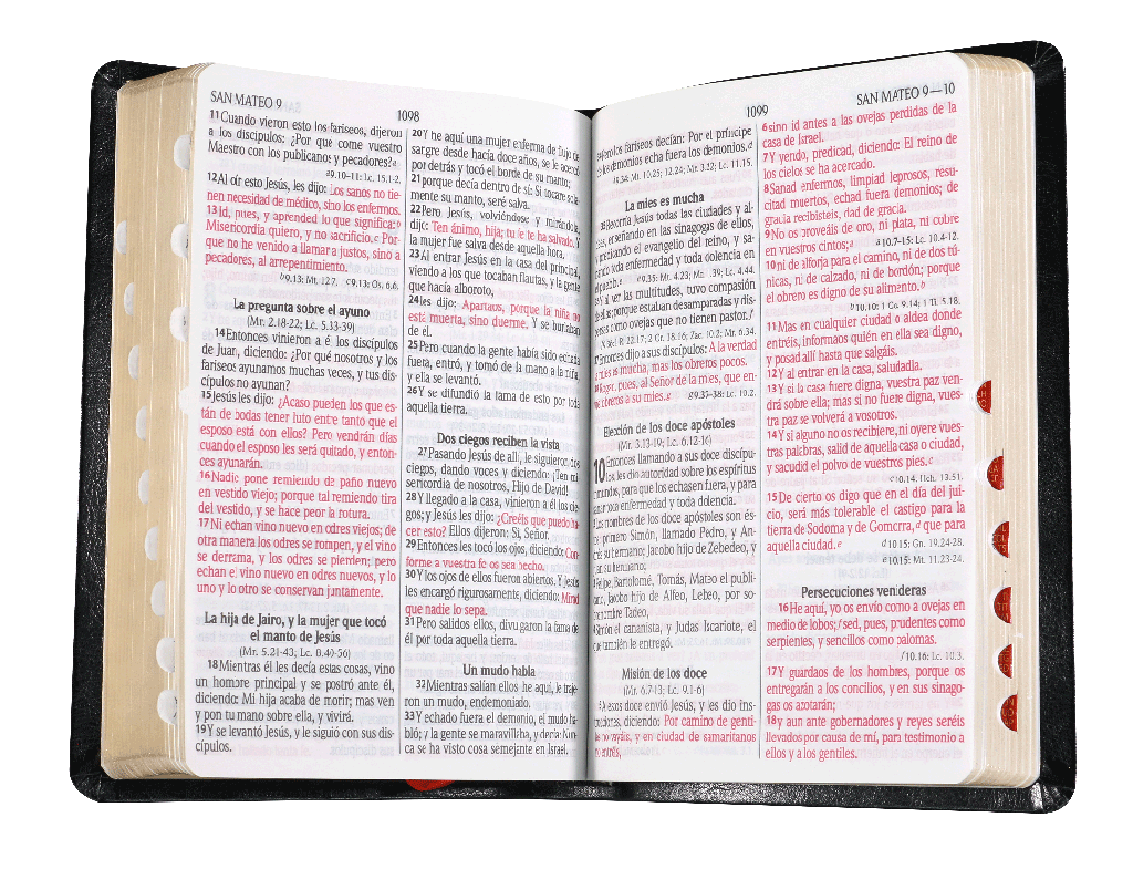 Biblia grande concordancia indice referencias palabras de Cristo en rojo negro