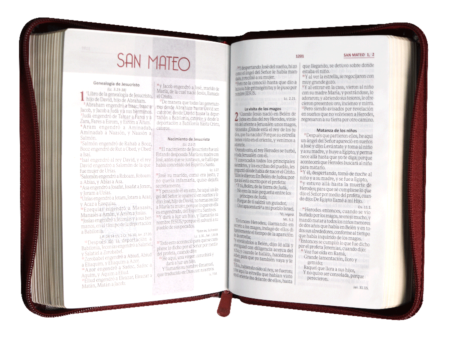 Biblia Reina Valera 1960 Chica Letra Mediana Imitación Piel Vino tinto Código QR