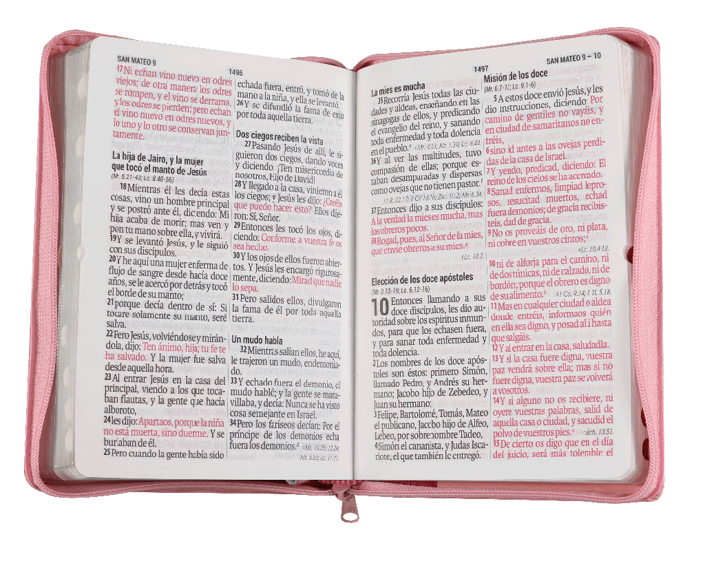 BIBLIA GARNDE ROSA Y ROSA 14 PTS