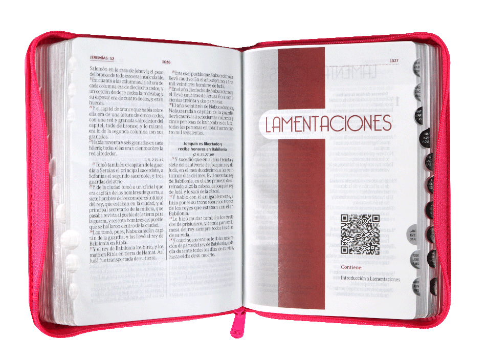 Biblia Reina Valera 1960 Chica Letra Mediana Imitación Piel Fushia Acuarela Código QR