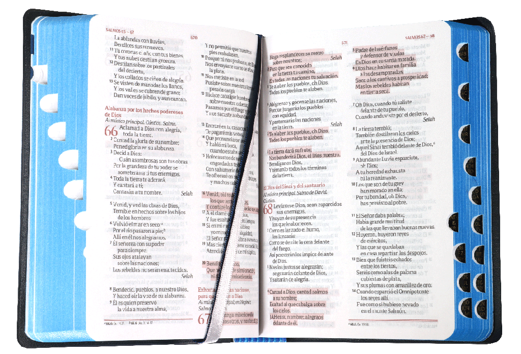 BIBLIA MEDIANA DE VINIL COLOR AZUL CON INDICE