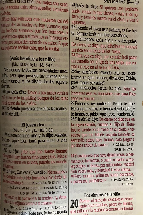 BIBLIA MEDIANA LEON DORADO