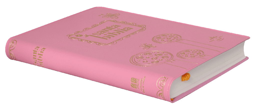 Biblia Reina Valera 1960 Chica Letra Chica Vinil Rosa