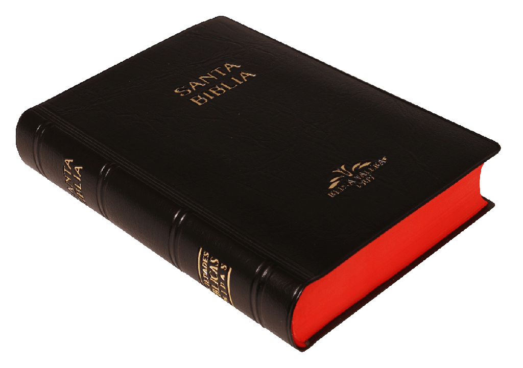 Biblia Reina Valera 1909 Tamaño Bolsillo Letra Chica