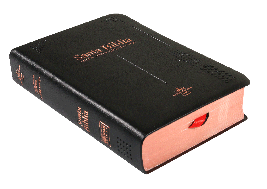 Biblia Reina Valera 1960 Mediana Letra Grande Vinil Negro [RVR042cLSGiPJRTI]