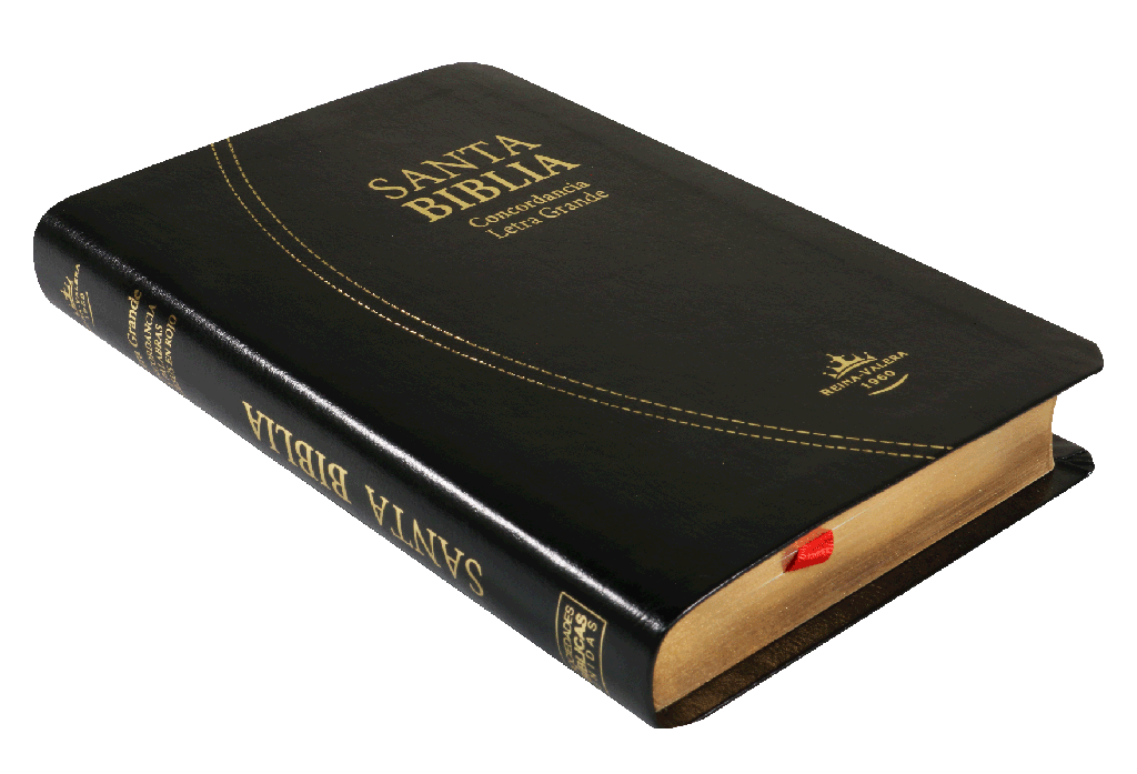 Biblia grande concordancia indice referencias palabras de Cristo en rojo negro