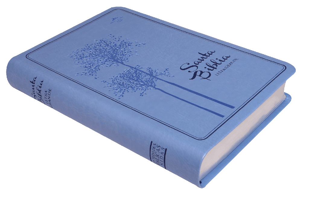 Biblia Reina Valera 1960 Mediana Letra Grande Imitación Piel Azul