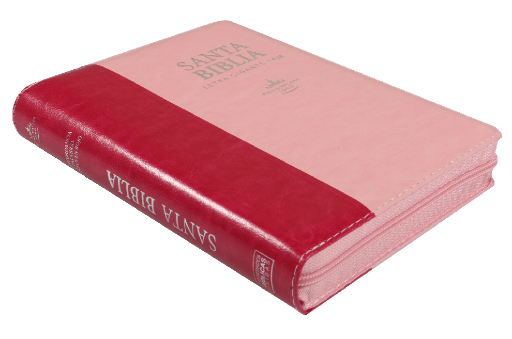 BIBLIA GARNDE ROSA Y ROSA 14 PTS