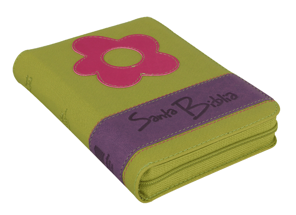 Biblia Reina Valera 1960 Chica Letra Mediana Imitación Piel Verde QR