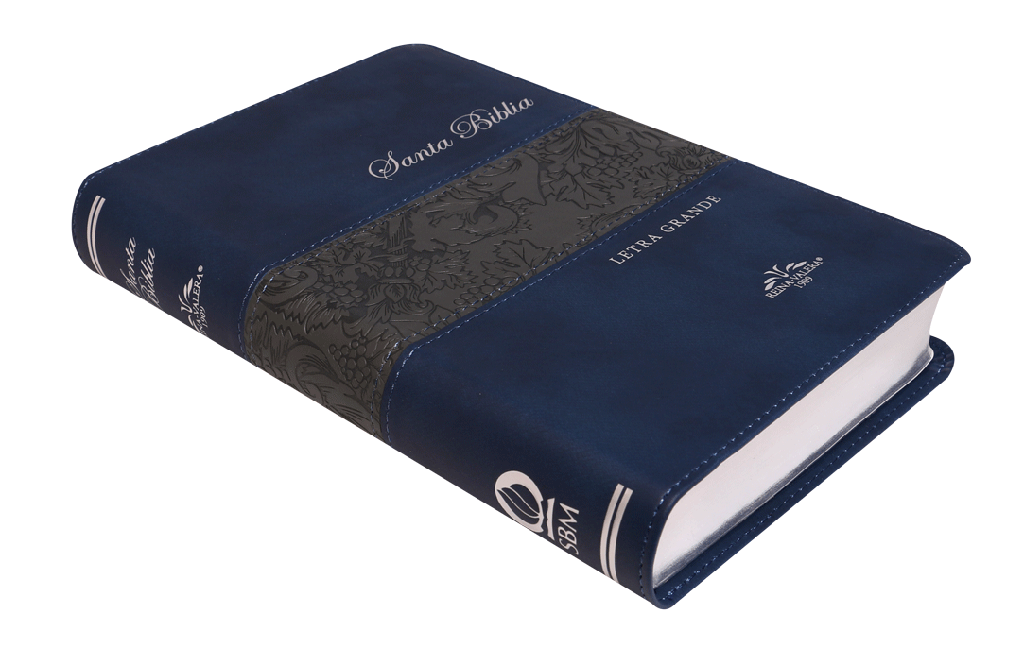 Biblia Reina Valera 1909 Grande Letra Grande Imitación Piel Azul con gris [VR065LG]