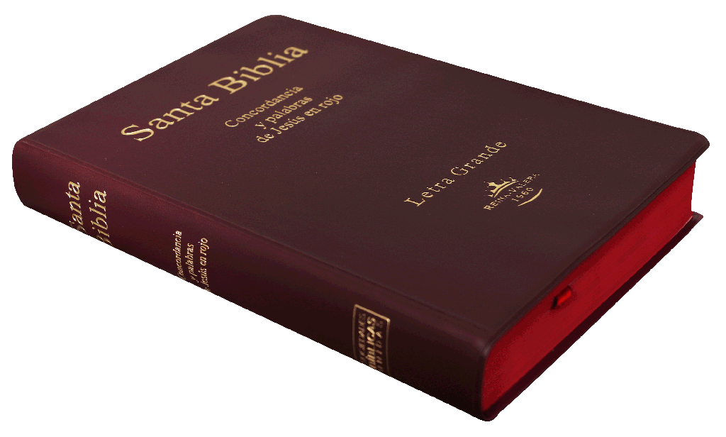 Biblia RV1960 Vinil Color Vino Letra Grande