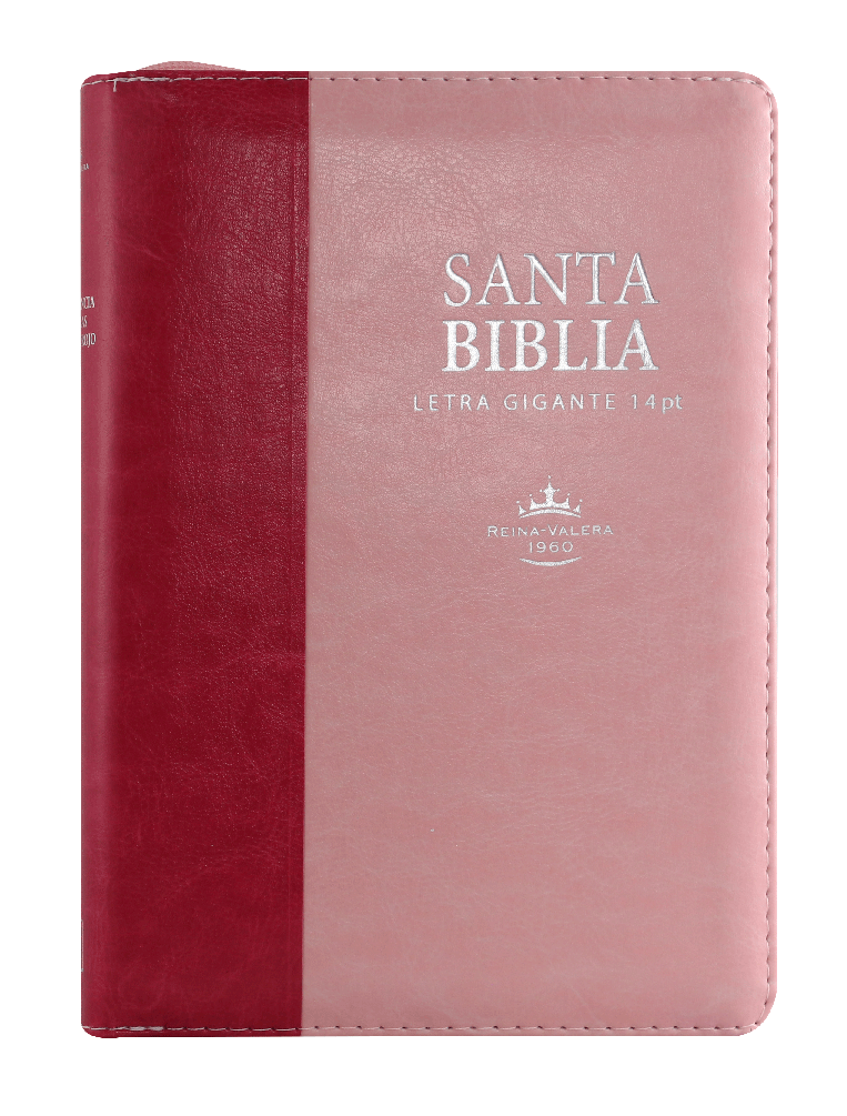 Biblia Grande Reina Valera 1960 , Letra Gigante Imitación Piel Rosa Rosa [RVR066cLSGiPJRZTI]