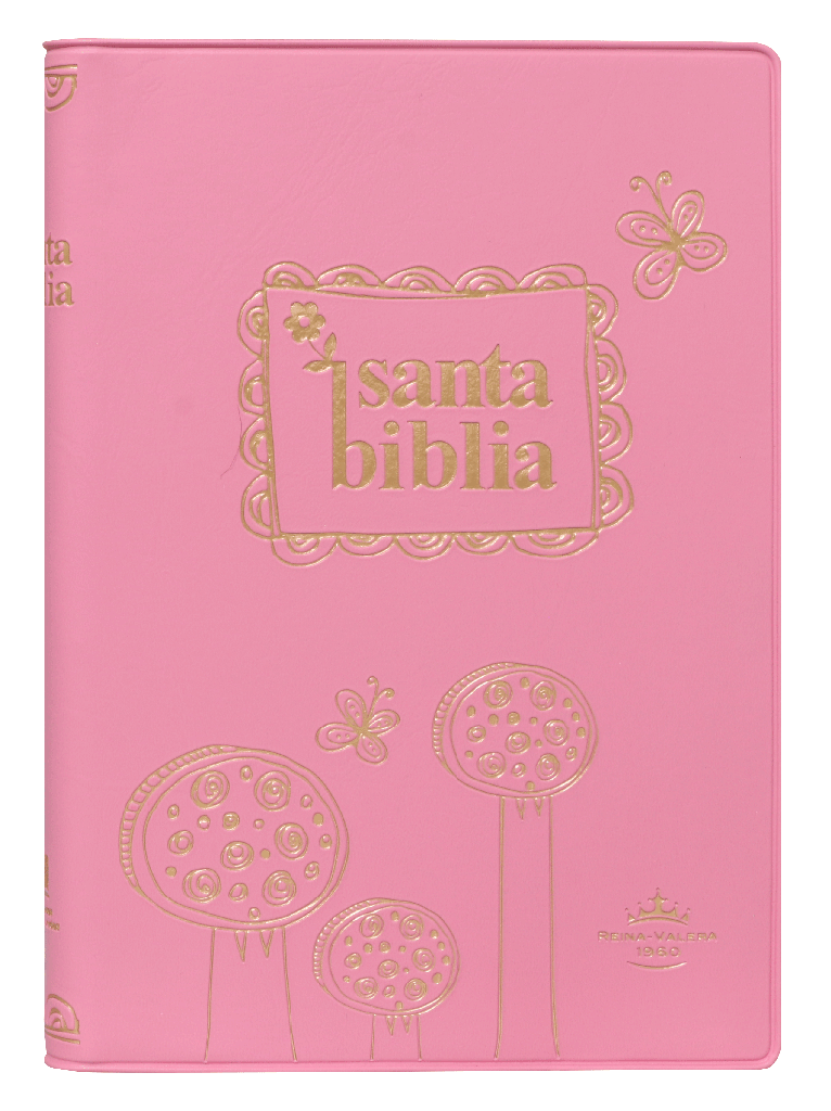 Biblia Reina Valera 1960 Chica Letra Chica Vinil Rosa