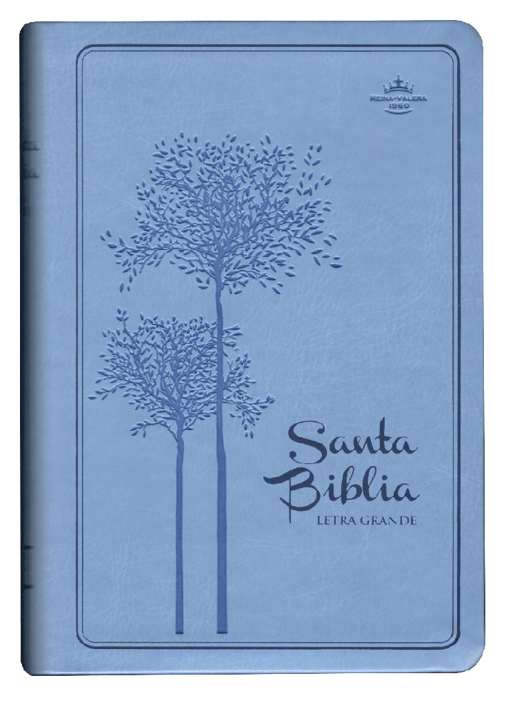 Biblia Reina Valera 1960 Mediana Letra Grande Imitación Piel Azul