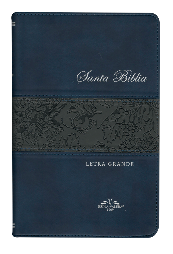 Biblia Reina Valera 1909 Grande Letra Grande Imitación Piel Azul con gris [VR065LG]