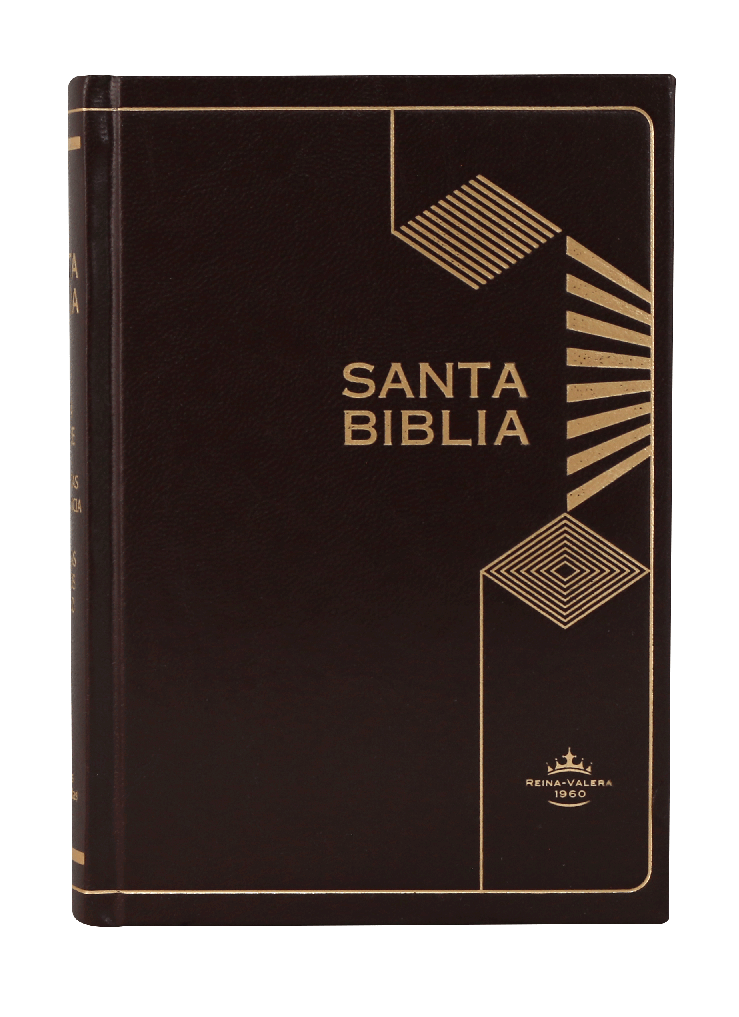 Biblia Reina Valera 1960 Mediana Letra Mediana Tapa Dura Café [RVR043cLGPJRMDM