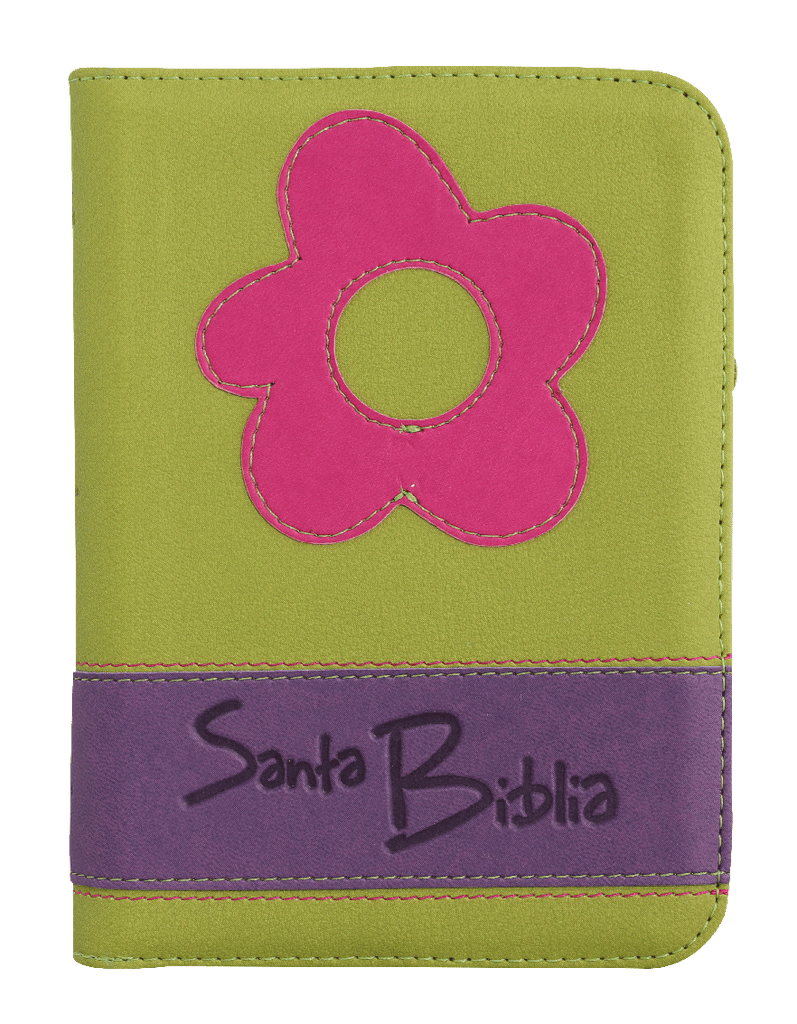 Biblia Reina Valera 1960 Chica Letra Mediana Imitación Piel Verde QR