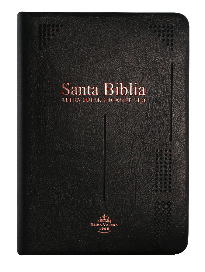 Biblia Reina Valera 1960 Mediana Letra Grande Vinil Negro [RVR042cLSGiPJRTI]