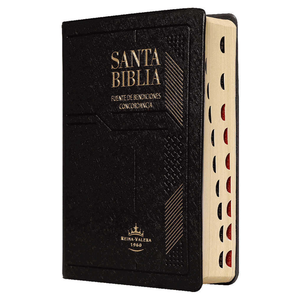 Biblia Reina Valera 1960 Mediana Letra Grande Vinil Negro