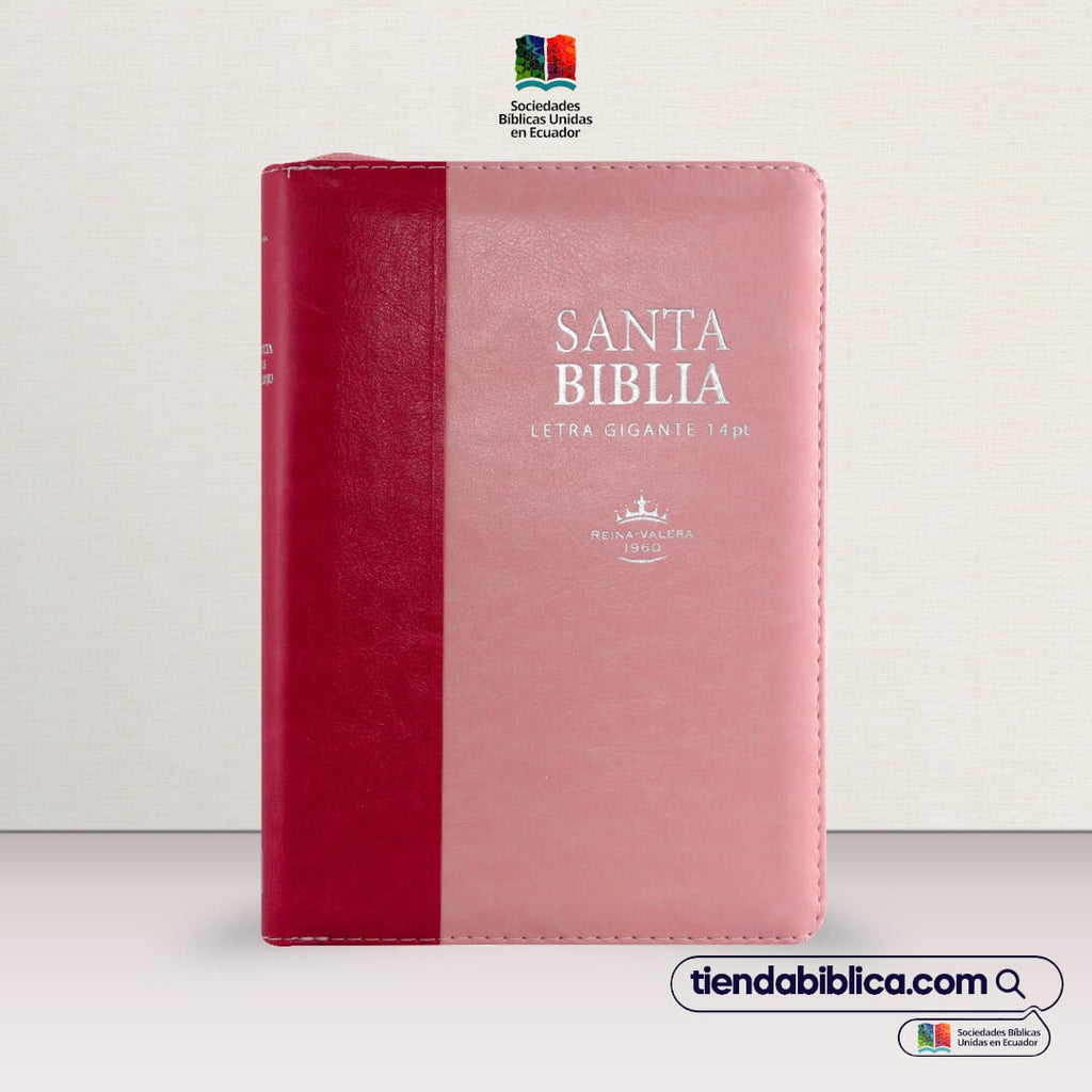 BIBLIA GARNDE ROSA Y ROSA 14 PTS