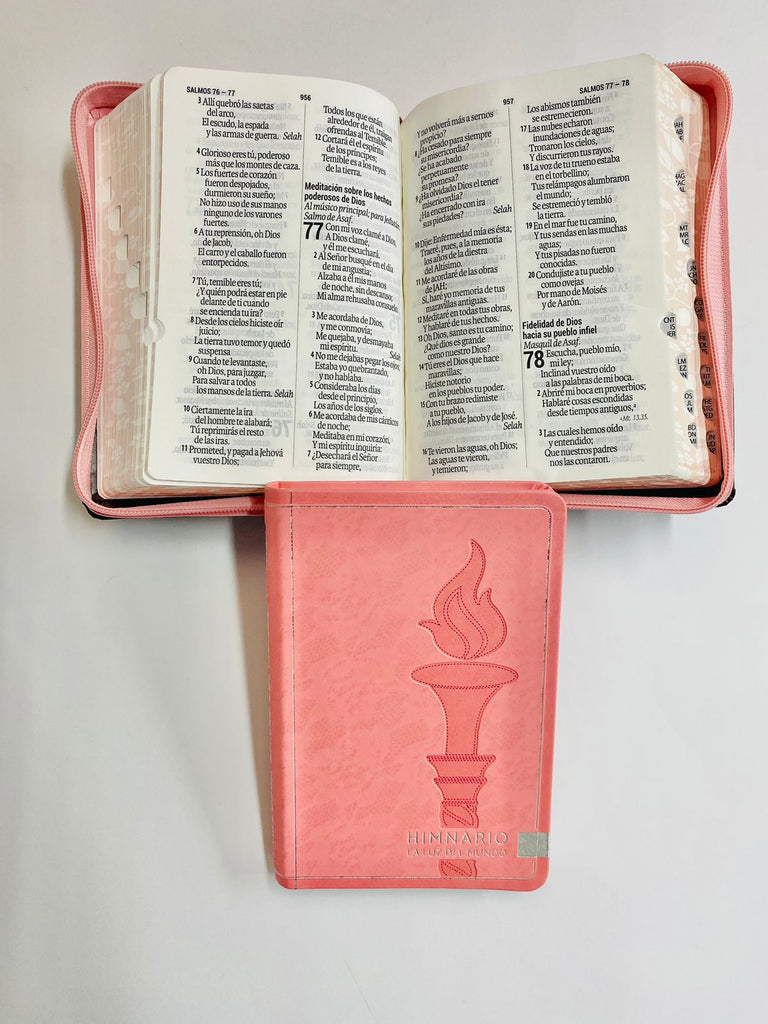 Biblia Reina Valera 1960 mediana Letra Grande 11 puntos Imitación Piel Rosa Rosa [RVR046cLSGIPJRZTIPU]