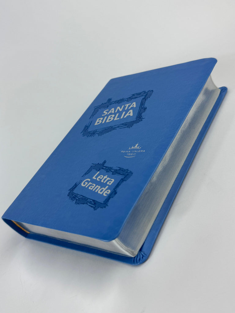 Biblia grande letra grande Concordancia amplia 323 páginas, CL Celeste