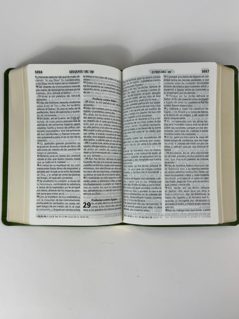 Biblia grande Concordancia amplia 323 páginas, CL Verde Claro