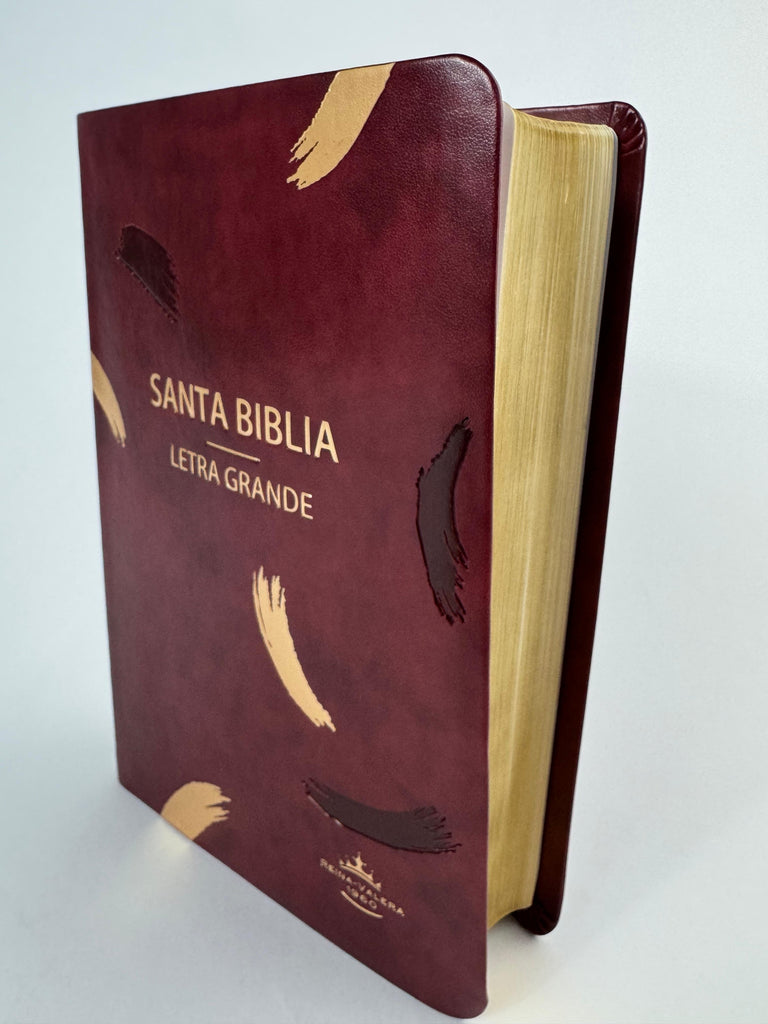 Biblia grande Concordancia amplia 323 páginas, WS vino