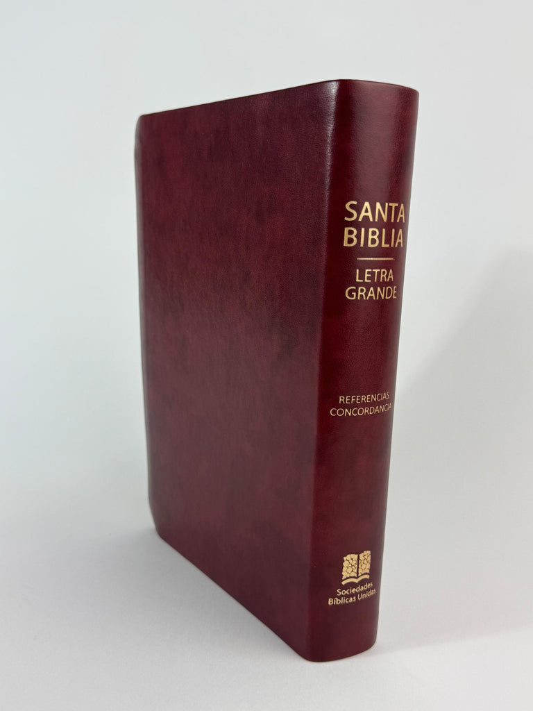 Biblia grande Concordancia amplia 323 páginas, WS vino