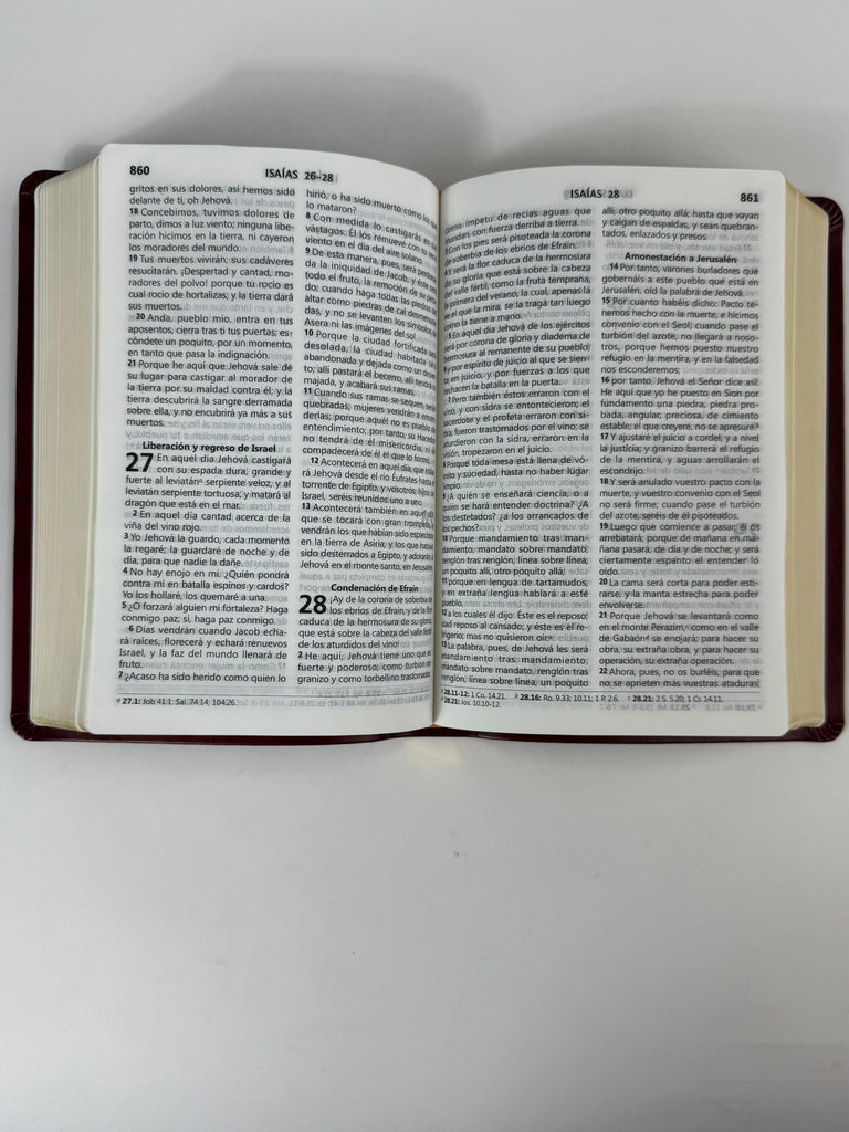 Biblia grande Concordancia amplia 323 páginas, WS vino