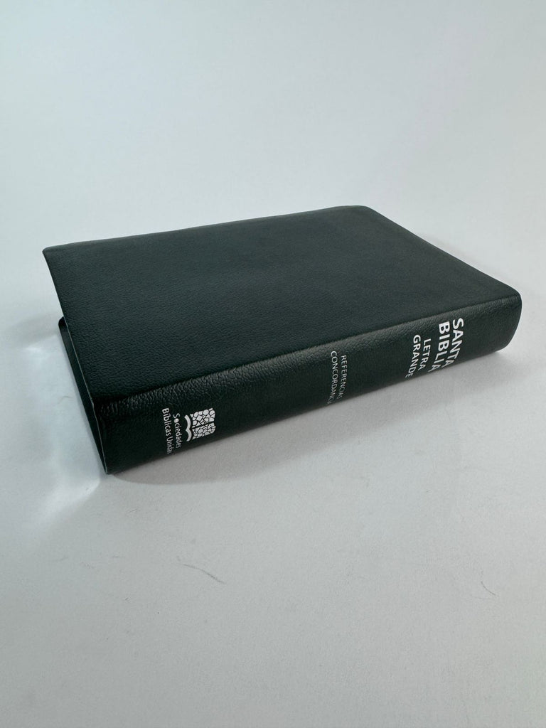 Biblia grande Concordancia amplia 323 páginas, referencias verde botella