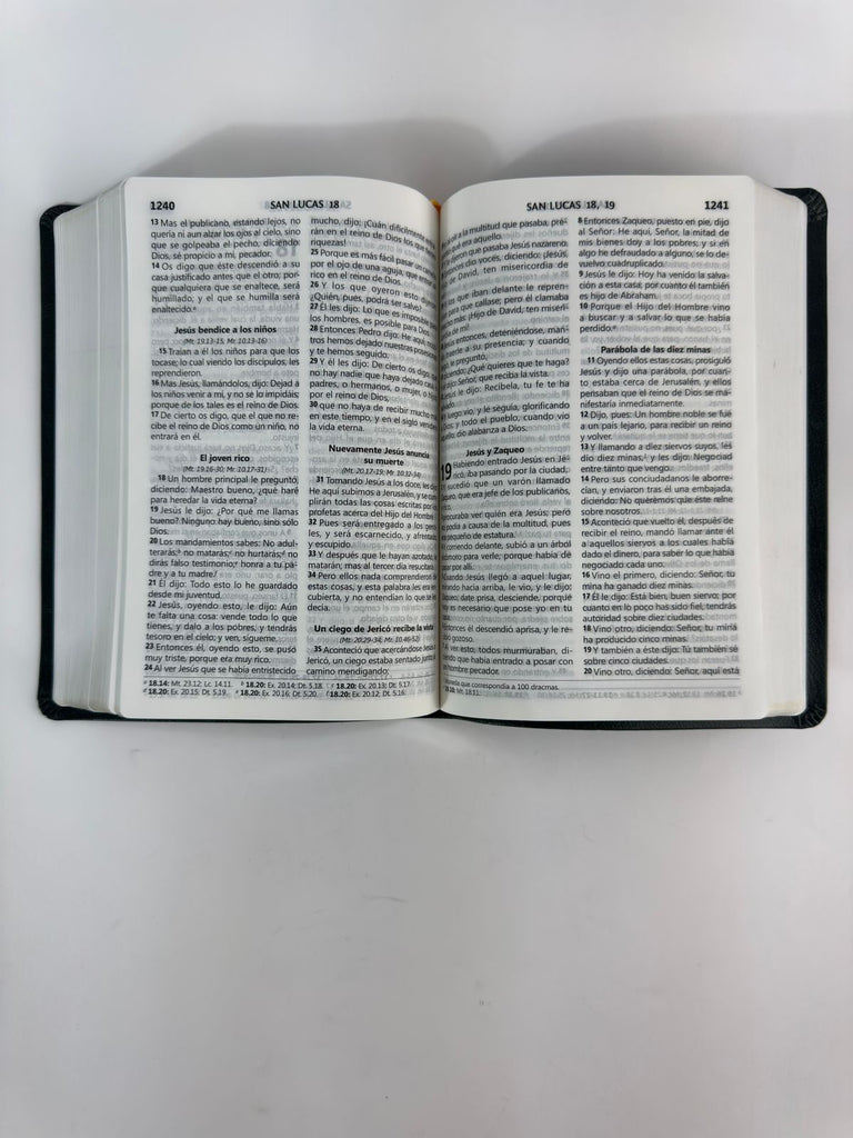 Biblia grande Concordancia amplia 323 páginas, referencias verde botella