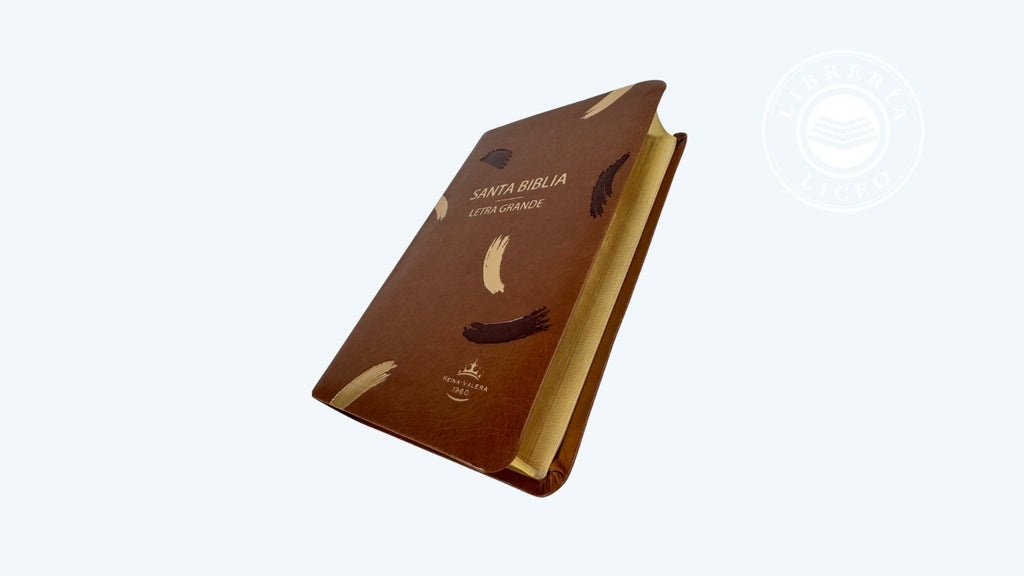 Biblia grande Concordancia amplia 323 páginas, referencias café