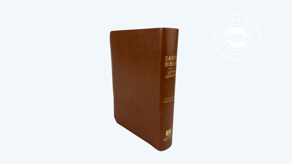 Biblia grande Concordancia amplia 323 páginas, referencias café