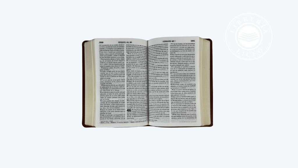 Biblia grande Concordancia amplia 323 páginas, referencias café