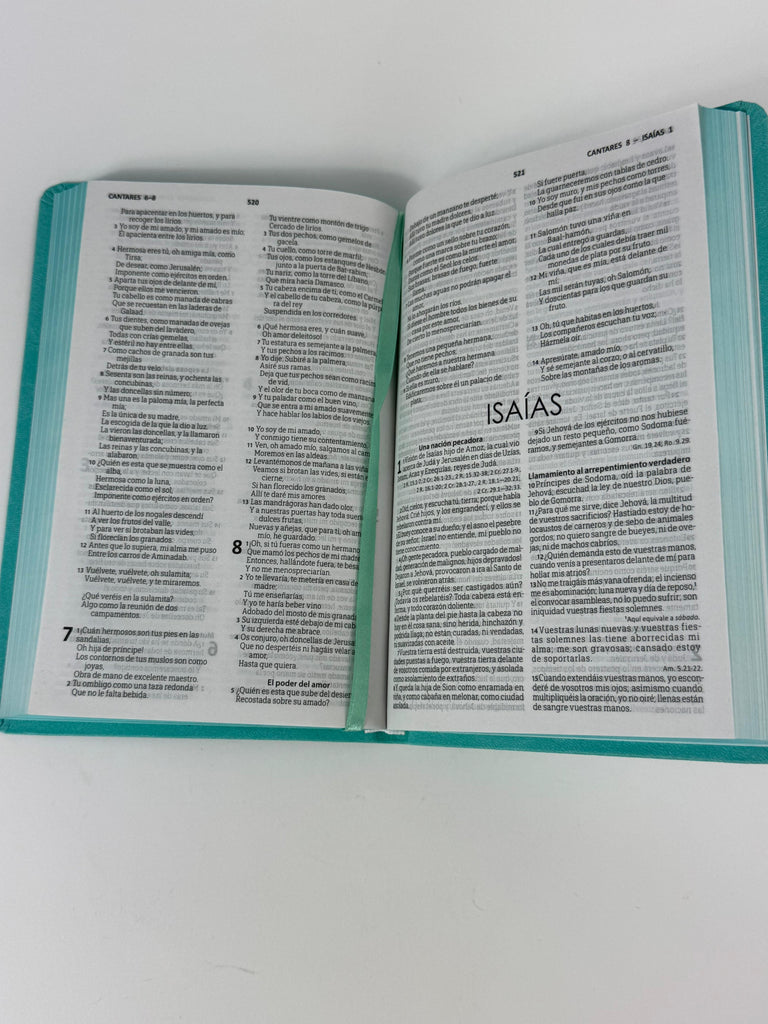 Biblia grande ultra delgada canto pintado verde