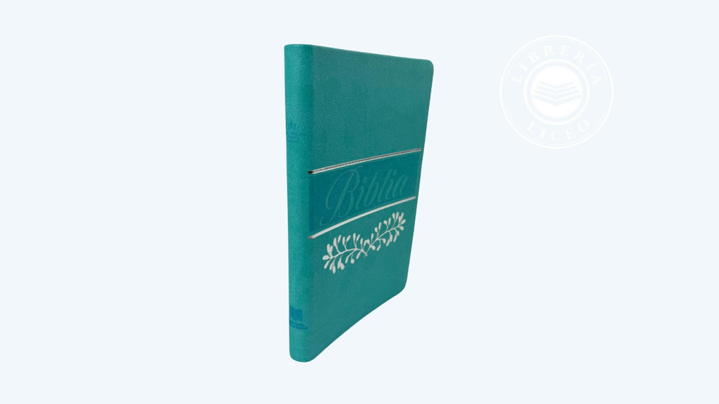 Biblia grande ultra delgada canto pintado verde