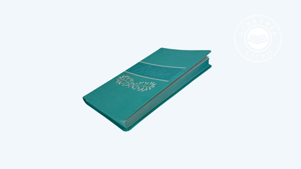 Biblia grande ultra delgada canto pintado verde