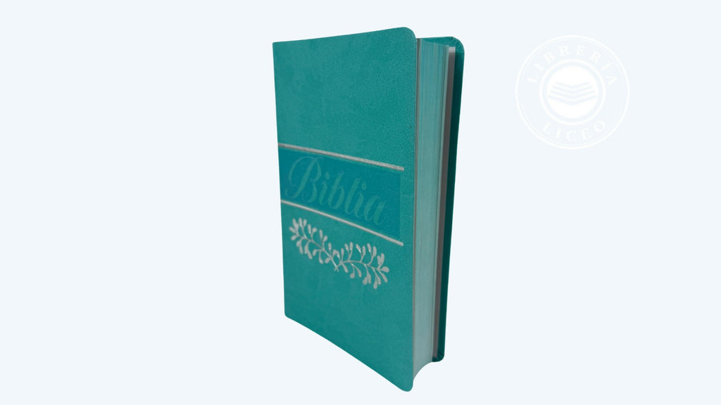 Biblia grande ultra delgada canto pintado verde