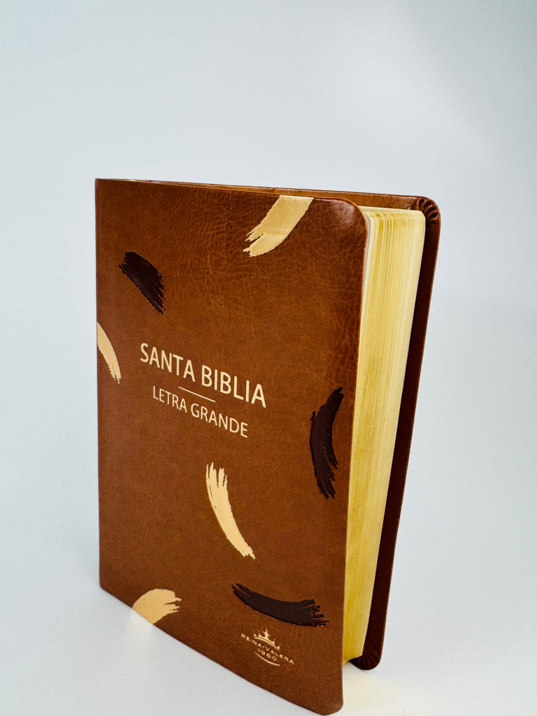 Biblia grande Concordancia amplia 323 páginas, referencias café