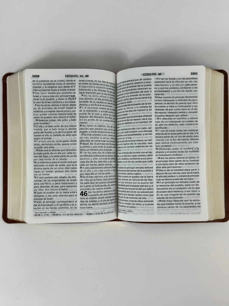 Biblia grande Concordancia amplia 323 páginas, referencias café
