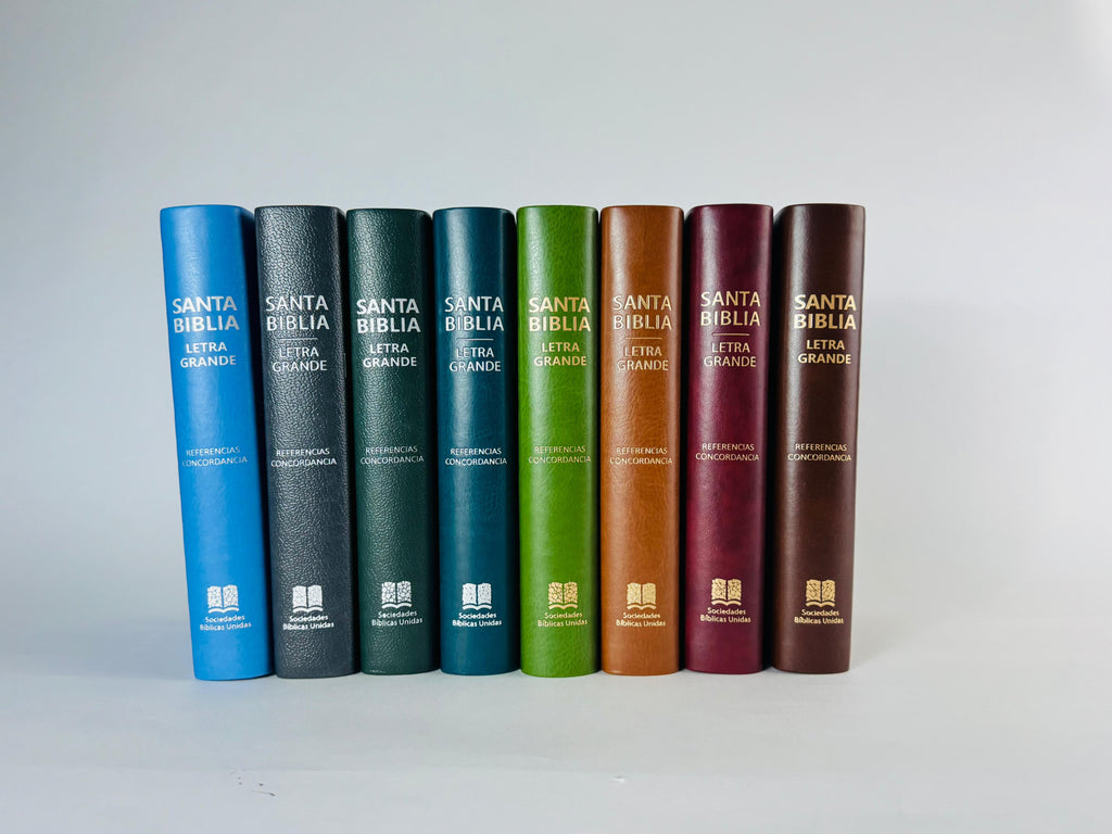 Biblia grande letra grande Concordancia amplia 323 páginas, CL Celeste