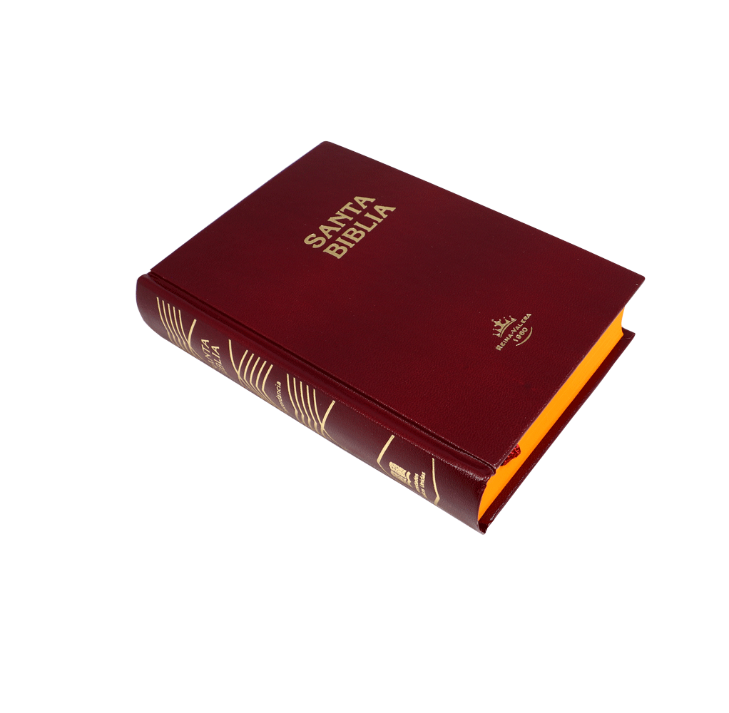 BIBLIA RVR043c VINO