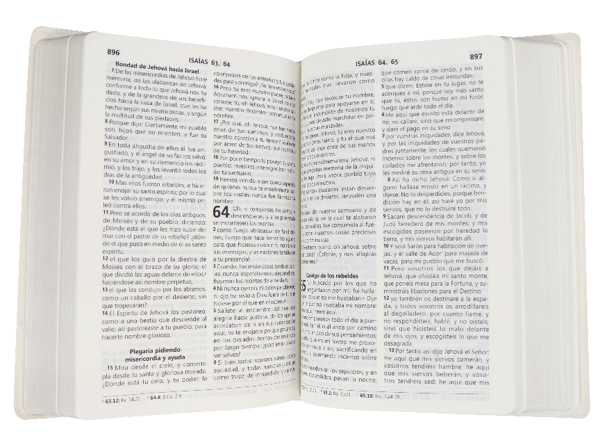 Biblia Misionera Infantil Reina Valera 1960, Rústica Rosa