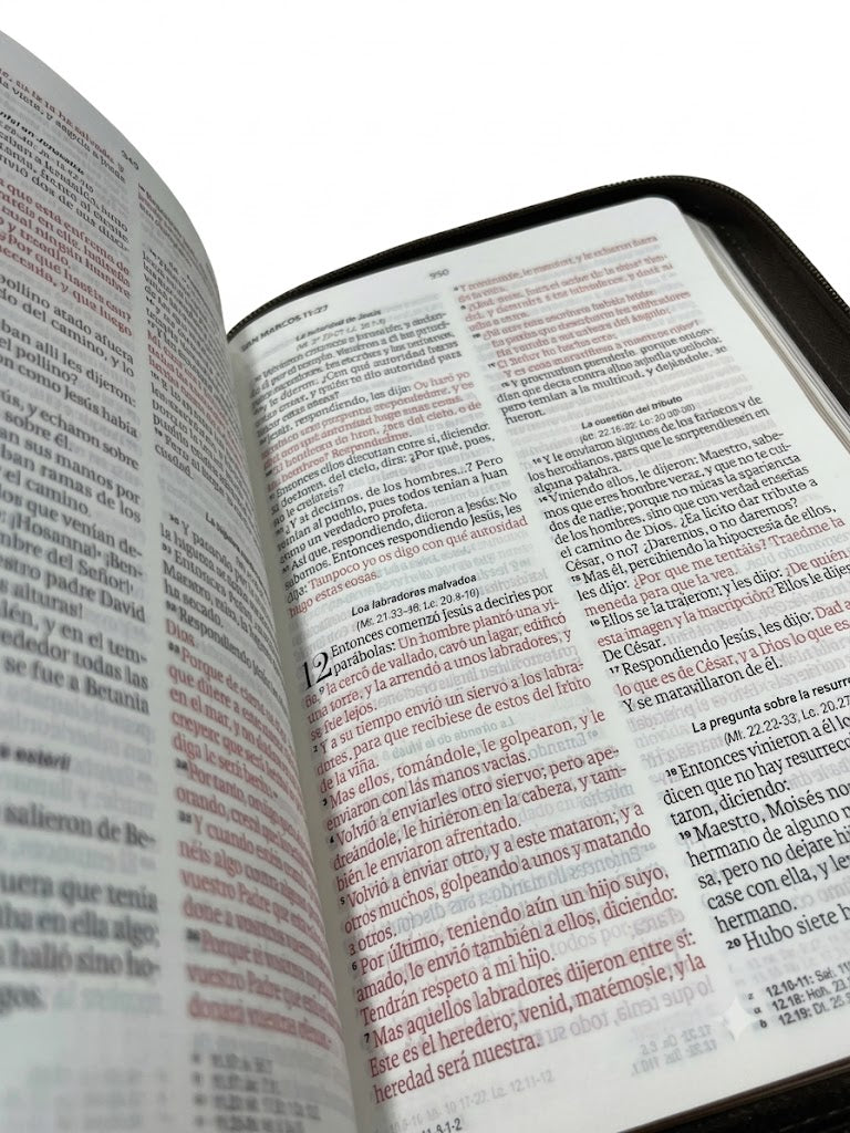 Biblia RVR60cz Obsequios Y Premios Moka Águila Con Cierre