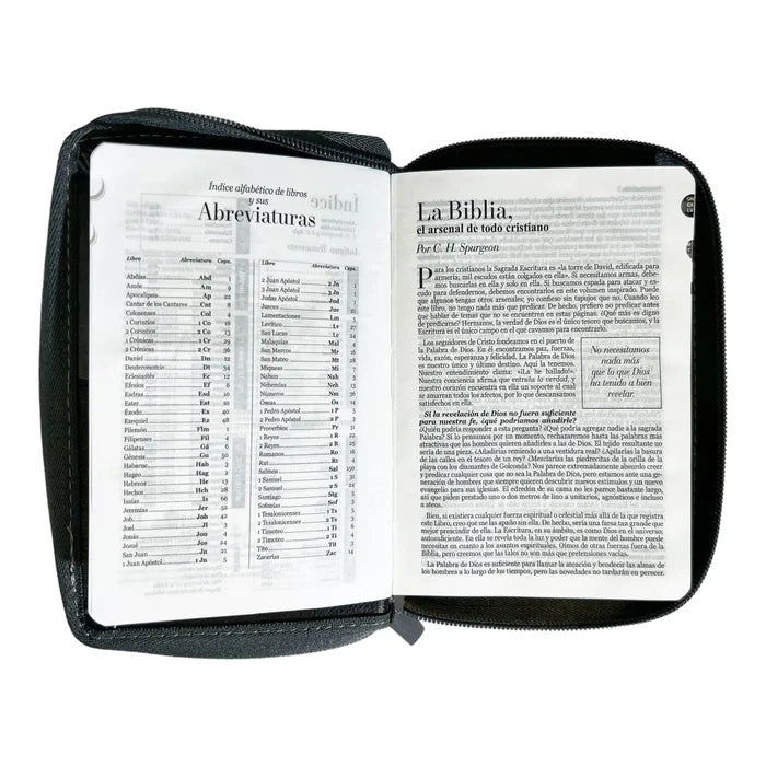 Biblia Reina Valera 1960 de bolsillo Imitación Piel Negro/Gris con León. Cierre e índice.Colección Expresión.