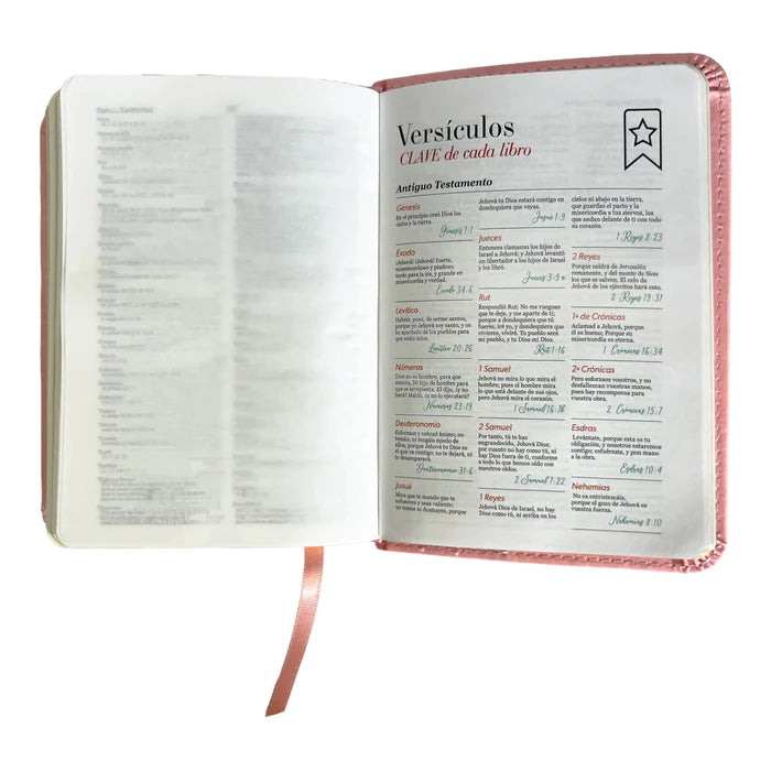 Biblia Reina Valera 1960 de bolsillo Imitación Piel rosa claro. Colección clásica.