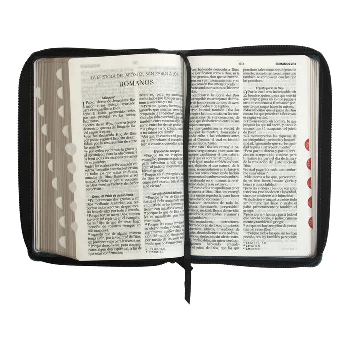 Biblia Mediana Compacta Mezclilla Letra Grande/cinturón negro