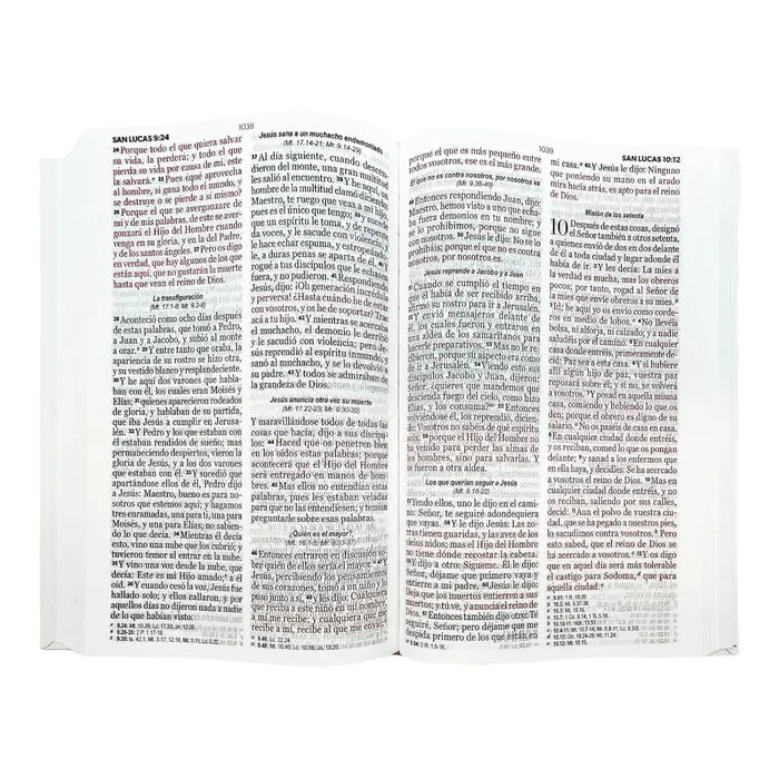 Biblia Reina Valera 1960 tamaño mediano Letra Grande 12 puntos. Versículos seguidos. Tapa flex León