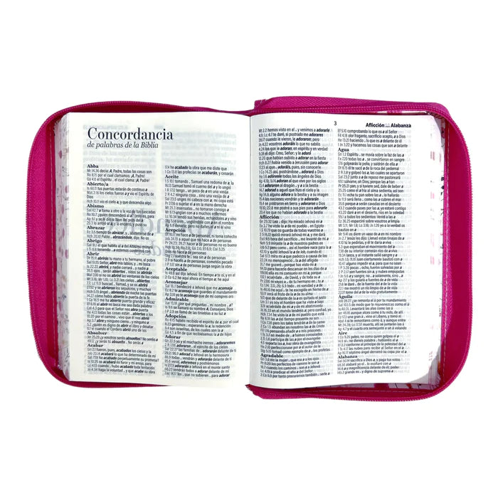 Biblia Reina Valera 1960 tamaño portátil Letra Grande 11 puntos Imitación Piel rosa oscuro. Con cierre. Canto pintado. Colección Primaveral.